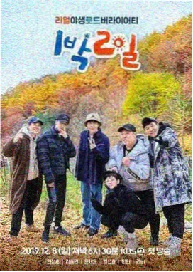 红果视频经典综艺