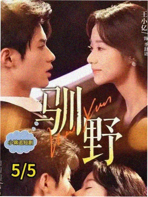 红果视频经典老片专题
